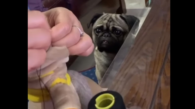 «Γιατρέ, θα ζήσει;»