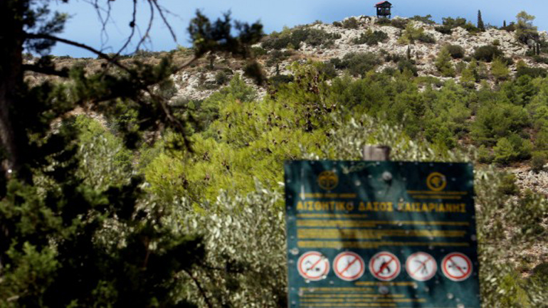 WWF: Νέο πρόγραμμα θα ρίξει φως στις «άγνωστες» πτυχές της δασοπυροπροστασίας