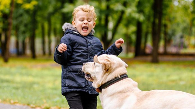 Μήπως το παιδί σας φοβάται τα σκυλιά;
