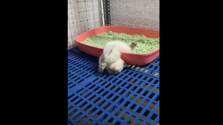 Όταν σε παίρνει ο ύπνος στην πιο παράξενη στάση…