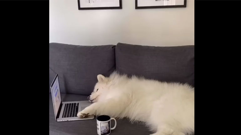 Ο ύπνος πάνω από όλα!