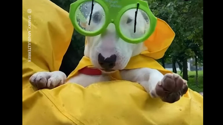 Έτοιμος για τη βροχή!