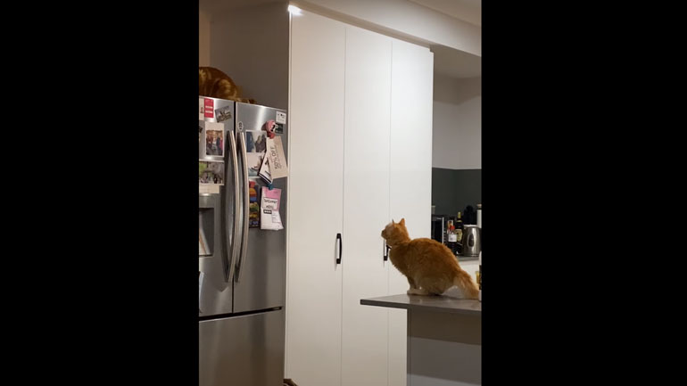 Αν πιστέψεις στον εαυτό σου… ίσως και να μην πετύχεις