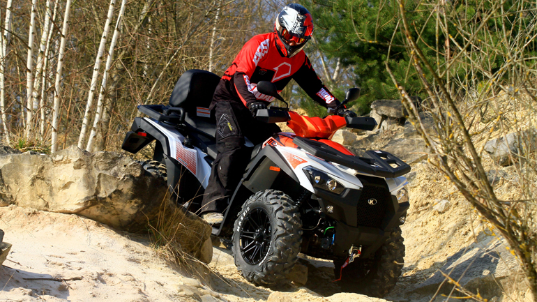 Όταν οι “γουρούνες” ξεφεύγουν