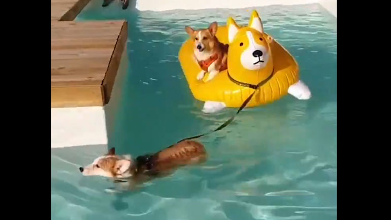 Όταν μόνο ο ένας κάνει τη σκληρή δουλειά…