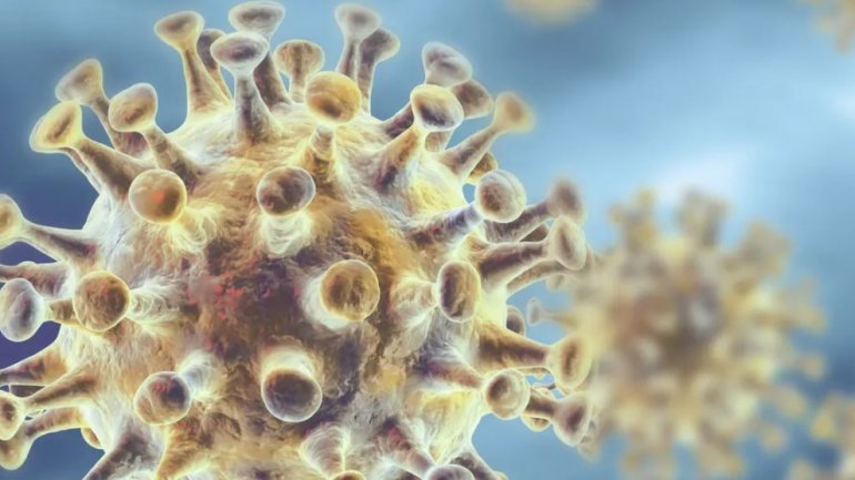 Είναι οι ιοί ζωντανά όντα;