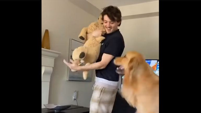 Ένας πολύ ζηλιάρης σκύλος