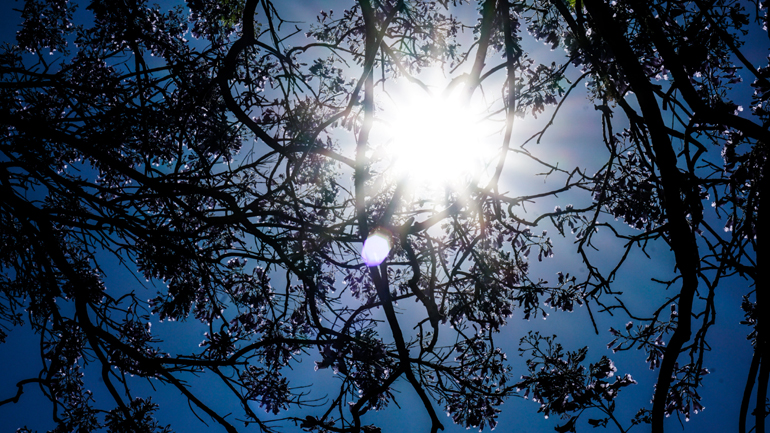 Ο καιρός σήμερα