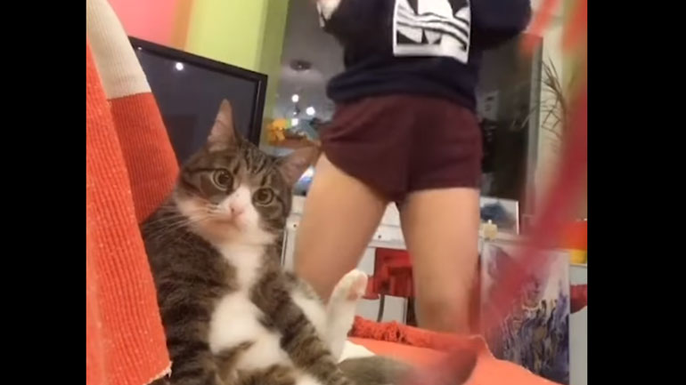 Τα πιο αξιαγάπητα και… παράξενα κατοικίδια