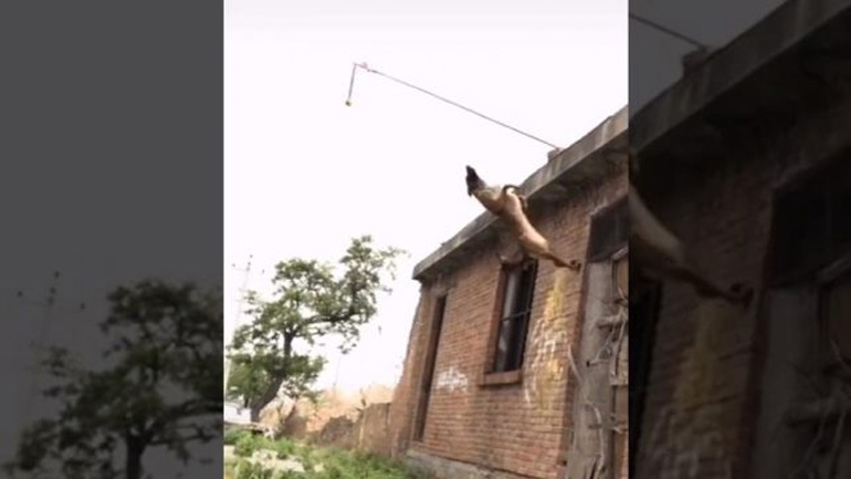 Μαλινουά κάνει ένα εντυπωσιακό άλμα