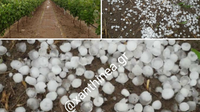 Ξάνθη: Χαλάζι και καταστροφές – Μετρούν πληγές οι αγρότες