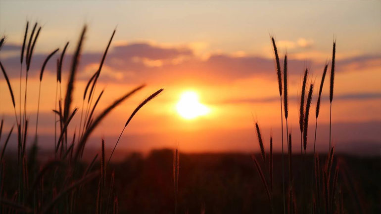 Σήμερα η μεγαλύτερη μέρα του έτους και η πρώτη επίσημη μέρα του καλοκαιριού