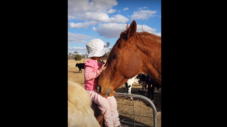 Κοριτσάκι νανουρίζει άλογα