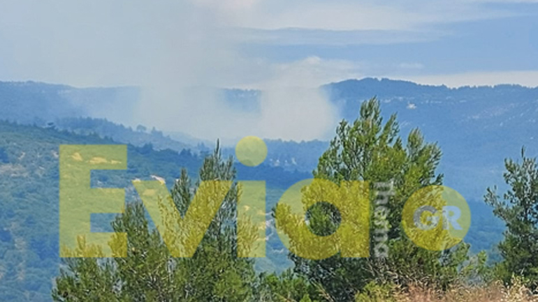 Κεραυνός προκάλεσε πυρκαγιά στο Κυπαρίσσι Ευβοίας – Σε εξέλιξη πυροσβεστική επιχείρηση