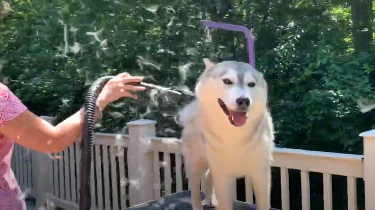 Έτοιμος για το καλοκαίρι!