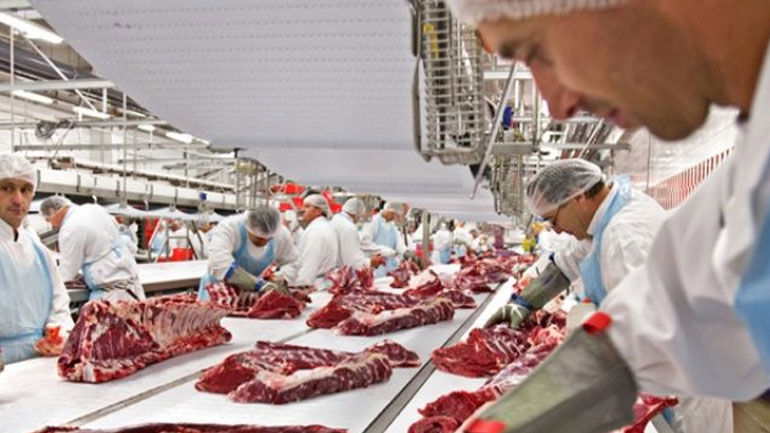 DW-Γερμανία: Άθλιες συνθήκες στη βιομηχανία κρέατος