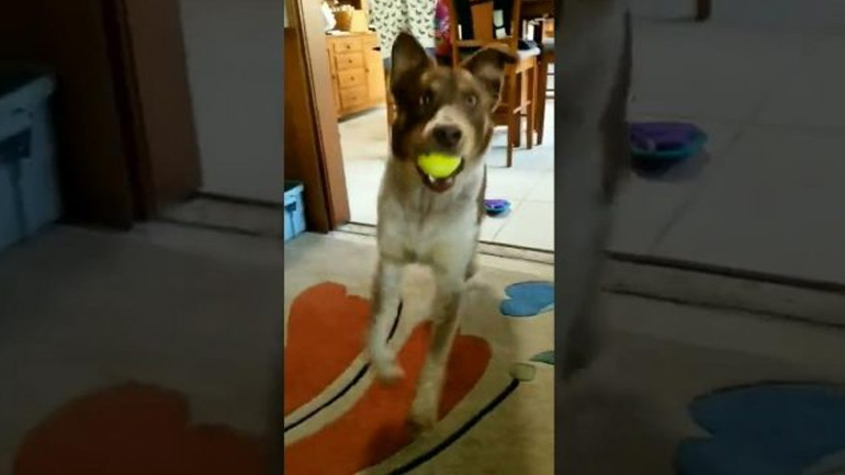 Σήκω να παίξουμε!