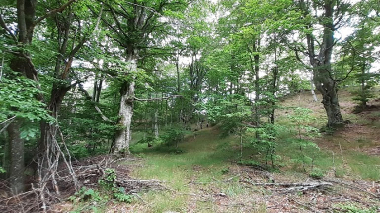 Σημάδια ιστορικής μνήμης στα μονοπάτια του Πάικου και του Μπέλλες