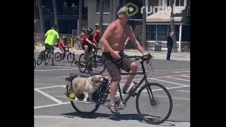 Σκύλος πιστεύει ότι κάνει ποδήλατο