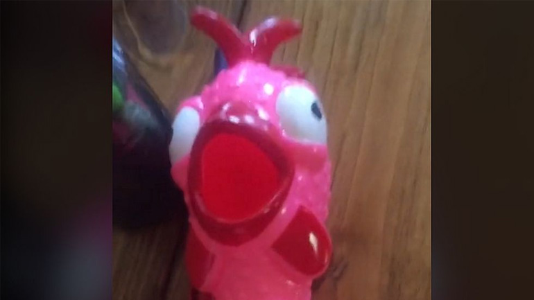 Γουρούνι vs αγελάδα vs κοτόπουλο