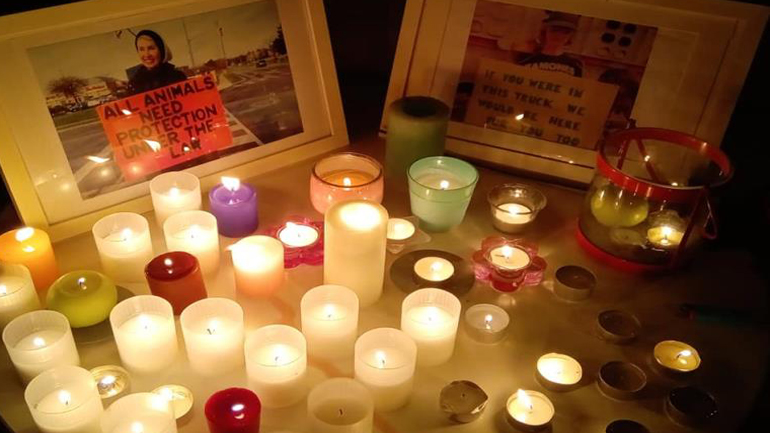 Φιλόζωοι άναψαν κεριά έξω από την πρεσβεία του Καναδά στη μνήμη ακτιβίστριας που σκοτώθηκε σε διαδήλωση Φιλόζωοι άναψαν κεριά έξω από την πρεσβεία του Καναδά στη μνήμη ακτιβίστριας που σκοτώθηκε σε διαδήλωση