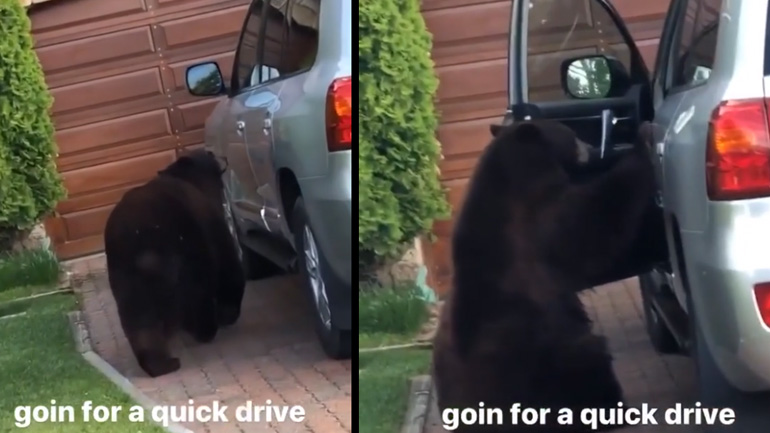 Μάλλον ήθελε να πάει βόλτα