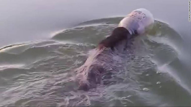 Διάσωση αρκούδας που είχε σφηνώσει σε πλαστικό δοχείο