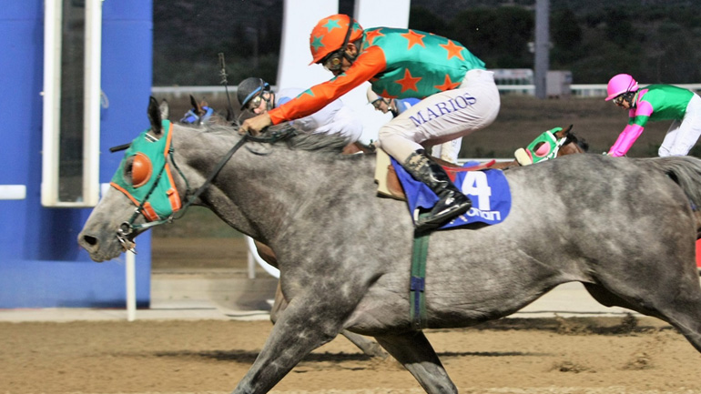 Markopoulo Park: Νίκες γένους θηλυκού και τζακ ποτ στο Σκορ 6