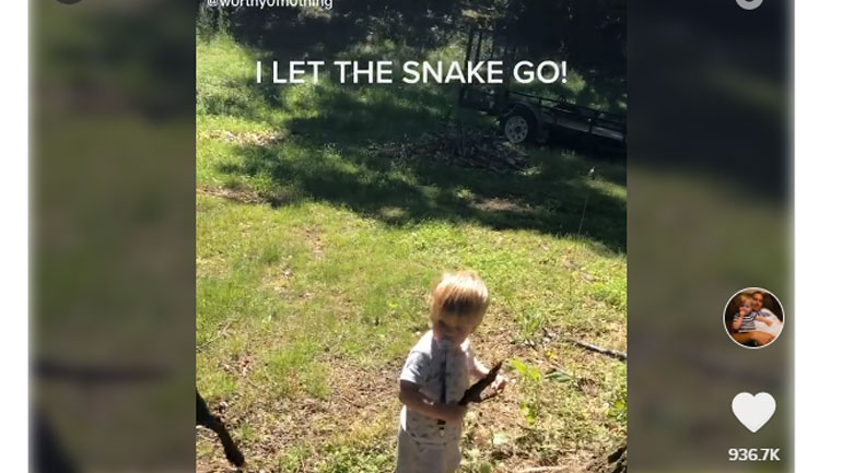 Όταν ο γιος πιάνει αναπάντεχα ένα φίδι