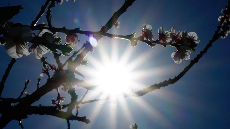 Ο καιρός σήμερα