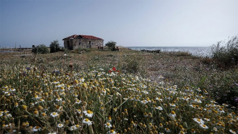 Πολιτισμός δίπλα στο Σπίτι του Φύλακα της Αλυκής στο Αγγελοχώρι