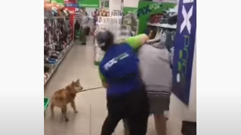 Της είπαν ότι απαγορεύεται ο σκύλος και άρχισε να χτυπά τους υπαλλήλους