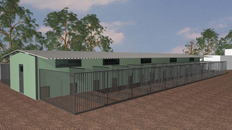 Ικανοποίηση των φιλόζωων για τη νέα διάταξη κατασκευής καταφυγίων αδέσποτων και σε δασικές εκτάσεις