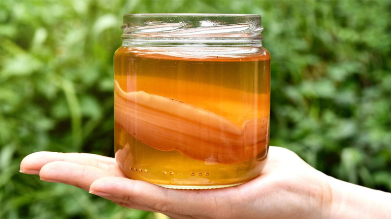 Γιατί το τσάι kombucha θεωρείται το «ελιξίριο της αθανασίας»