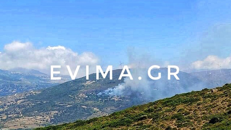 Συναγερμός στην Πυροσβεστική για φωτιά στην Κάρυστο