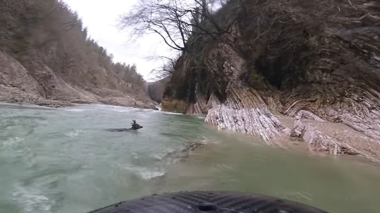 Άνδρας σε καγιάκ σώζει ένα ελάφι από πνιγμό