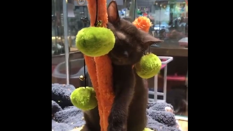 Δεν έχει σημασία πού θα σε πάρει ο ύπνος, αρκεί να κοιμηθείς…