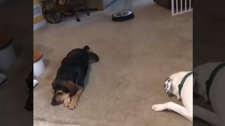 Ο συνήθης ύποπτος