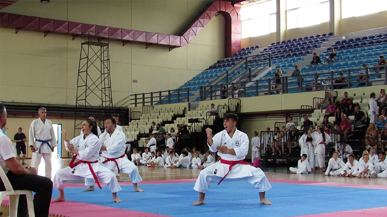 Καράτε: Το πρόγραμμα του 2020