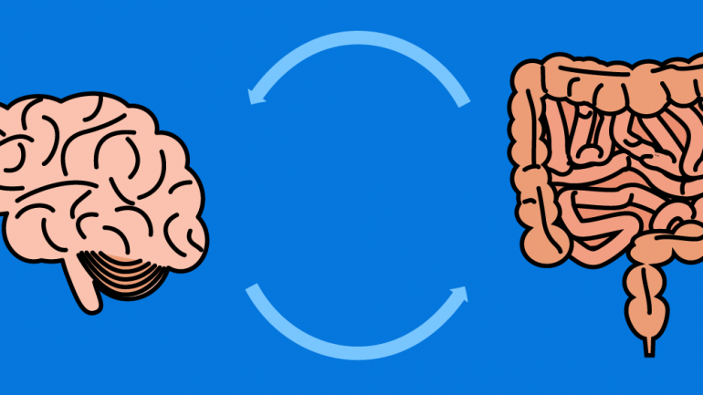 Νέες ανακαλύψεις για τη σύνδεση του εντέρου με τον εγκέφαλο