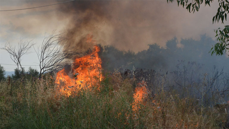 Υπό μερικό έλεγχο η πυρκαγιά στην Κάρυστο Ευβοίας