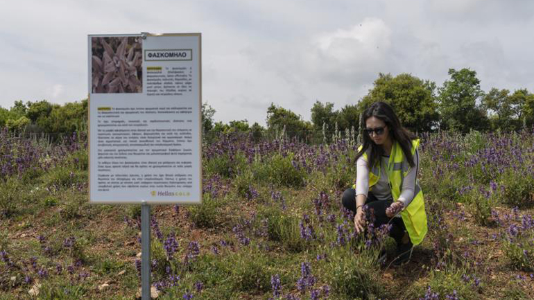 Πώς η μεταλλευτική δραστηριότητα γίνεται “πράσινη” και σύμμαχος στην αντιμετώπιση της κλιματικής αλλαγής
