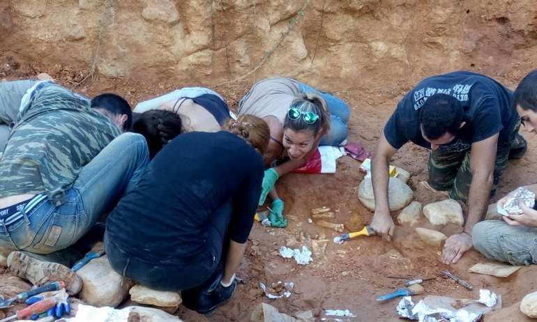 Εικόνα από τις ανασκαφές στο Πικέρμι, όπου βρέθηκαν τα οστά τους