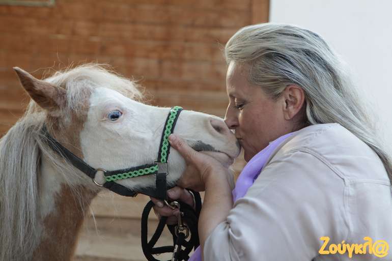 Η Μίνα Καραγιάννη έπειτα από πολλούς κόπους, έφερε αυτό το σπάνιο είδος πίσω στην πατρίδα του για να προσφέρει τις υπηρεσίες του...