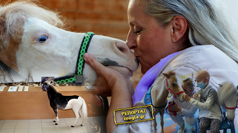 Τα απίστευτα Ιππάρια της Ραφήνας