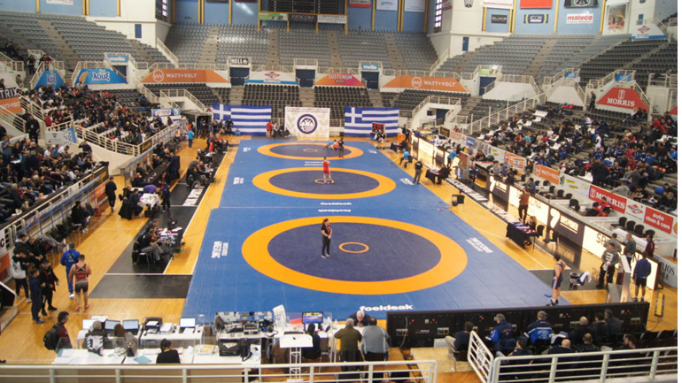 Προσωρινή διοίκηση στην Ελληνική Ομοσπονδία Πάλης