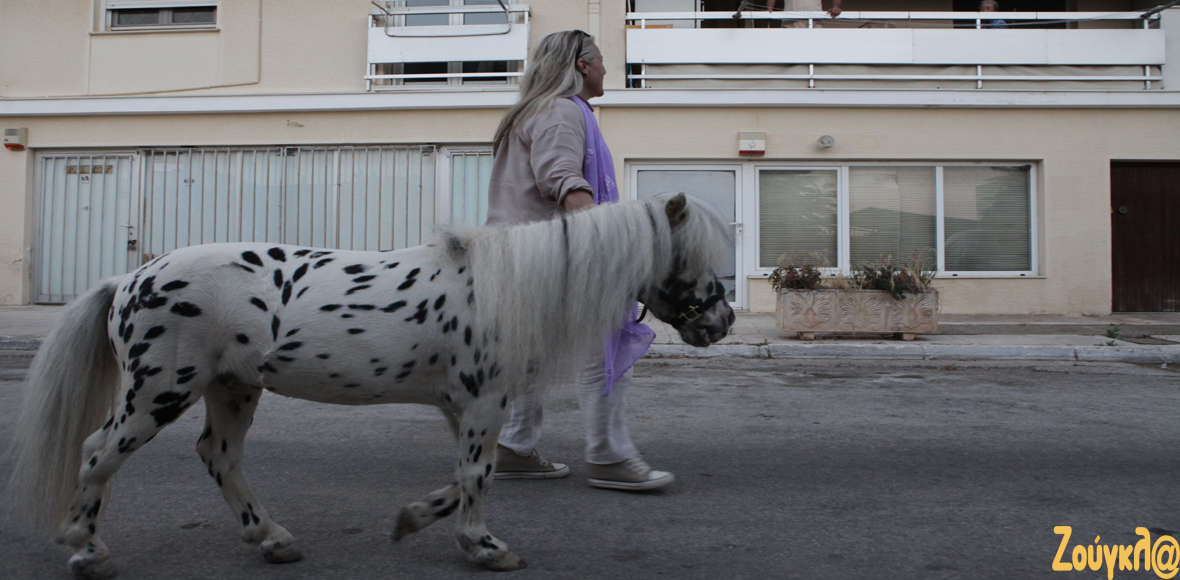 Βόλτα με το… ιππάριο!