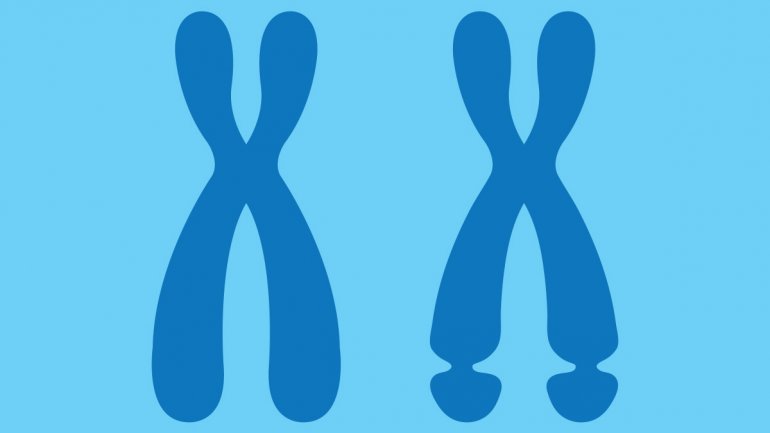 Ψάχνοντας την πρωτεΐνη που προκαλεί αυτιστική διαταραχή