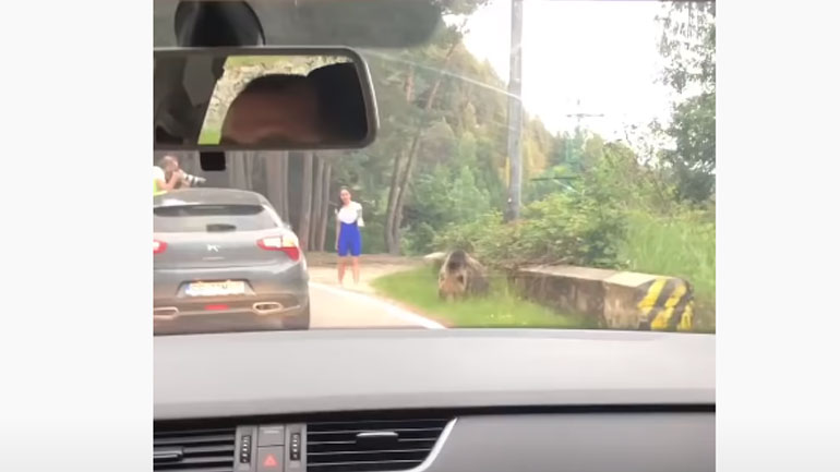 Ήθελε να βγάλει μία φωτογραφία με μία αρκούδα. Η αρκούδα όμως δεν ήθελε…