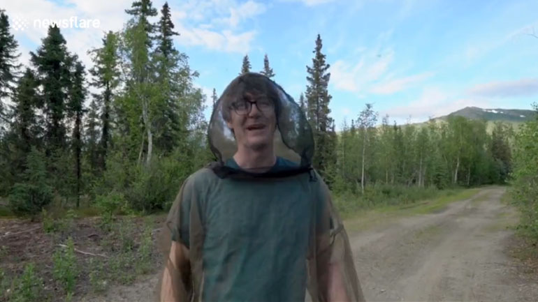 Πόσο ενοχλητικό είναι να ζεις με σμήνος κουνουπιών;